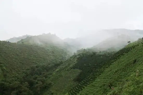 Green hills with misty atmosphere