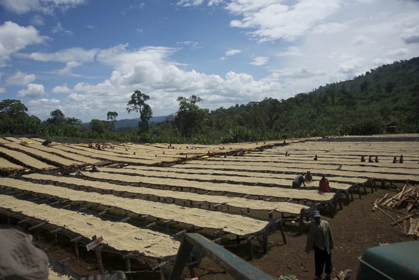 Coffee drying beds at Sasaba surrounded by the Ethiopian highlands