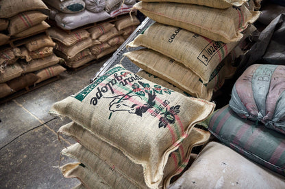 Jute bags of green coffee beans for Staccato Roasters Gran Galope Colombia medium roast coffee awaiting export from Cauca, Colombia.