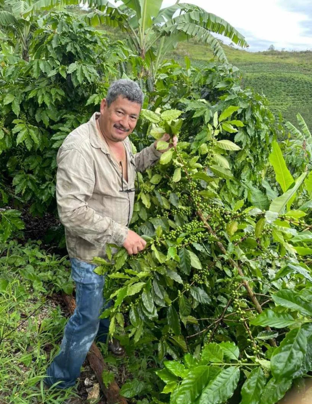 Honduran coffee producer Elvin Suazo and a family member holding young coffee seedlings outside the farm nursery.
