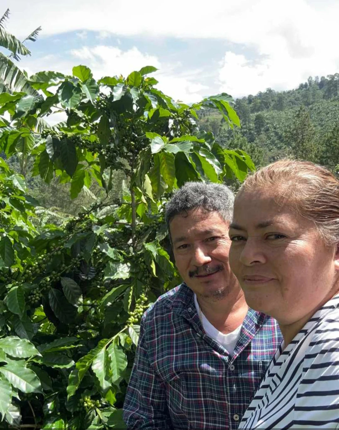 Honduran coffee producer Elvin Suazo standing beside one of his coffee trees on his family farm.