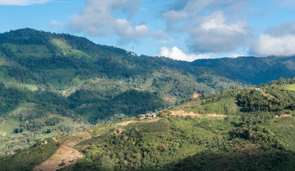 Scenic view of coffee farms in the mountains of Cajamarca, Peru.
