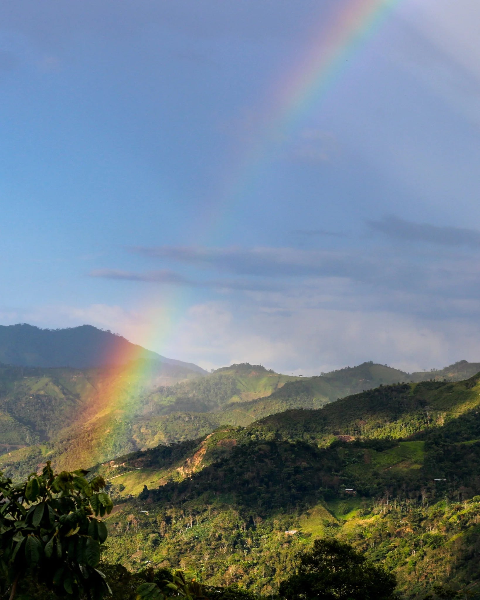Rainbow stretching across the mountains of Peru's Cajamarca coffee-growing region.